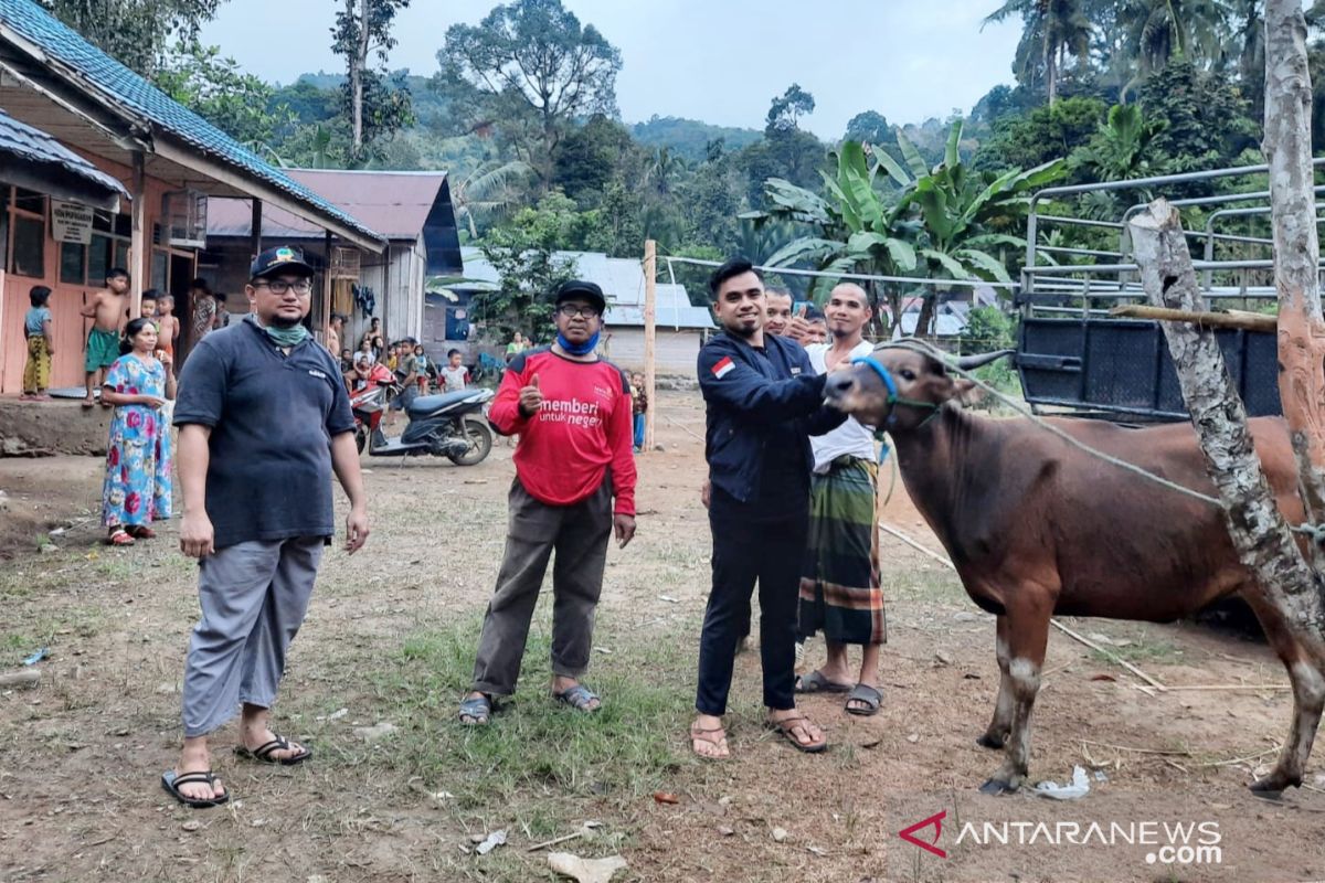 Muhammadiyah HST berkurban 33 ekor sapi