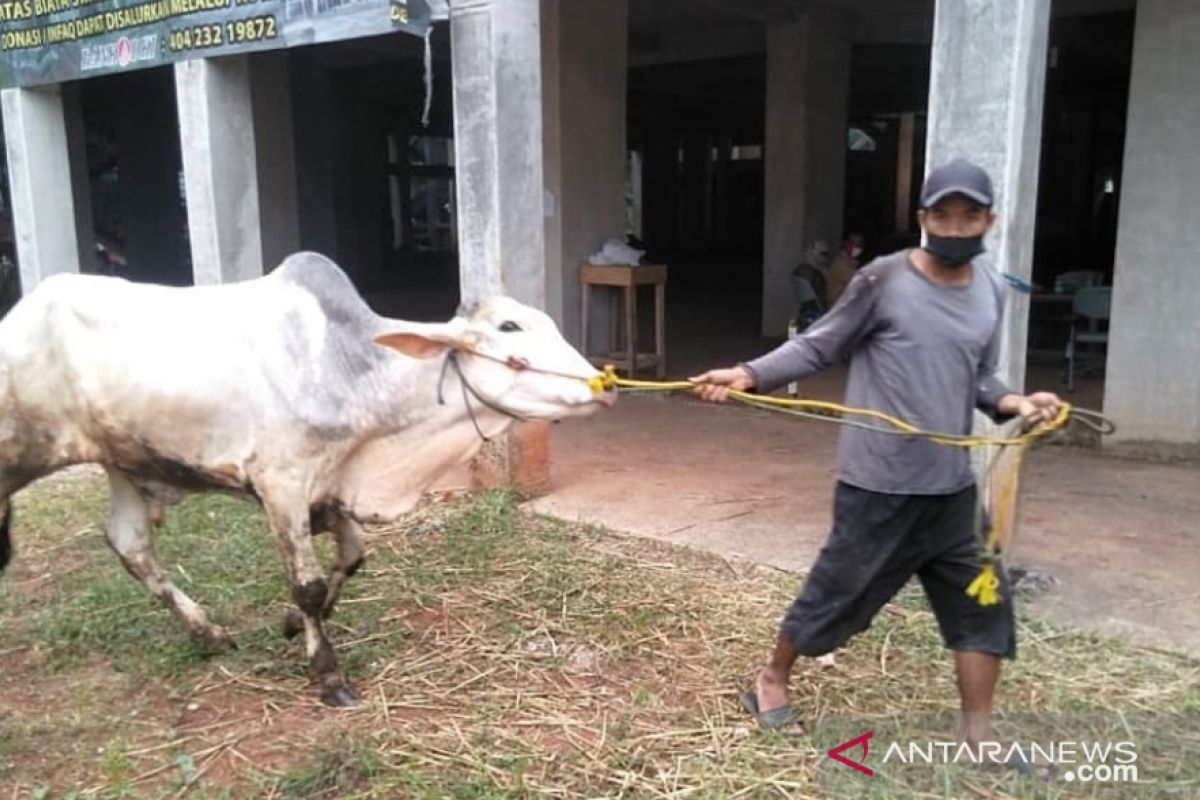 Anies minta warga DKI patuhi prokes saat berkurban