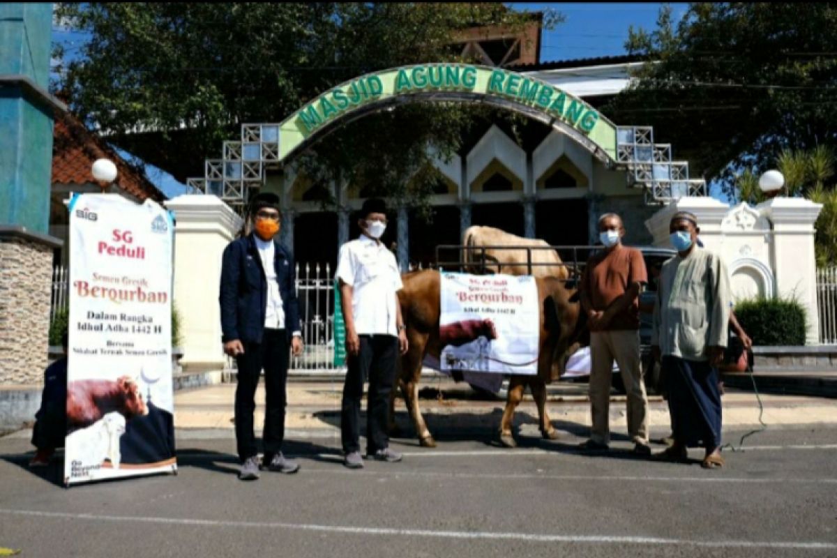 Semen Gresik salurkan 47 hewan kurban di Rembang dan Blora