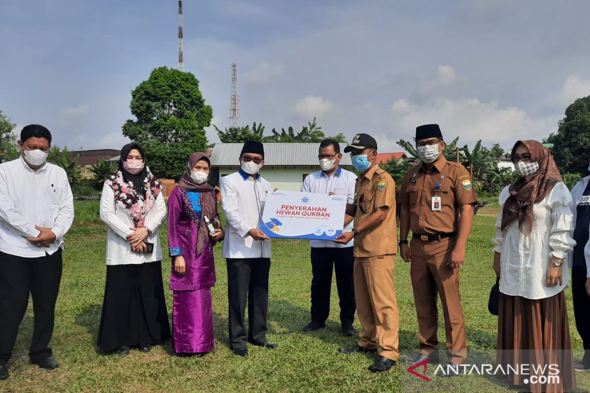 UIN STS Jambi serahkan hewan kurban untuk Batanghari dan Muaro Jambi