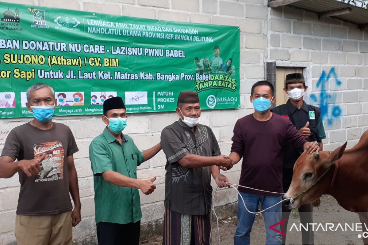 CV BIM salurkan bantuan sosial sapi kurban