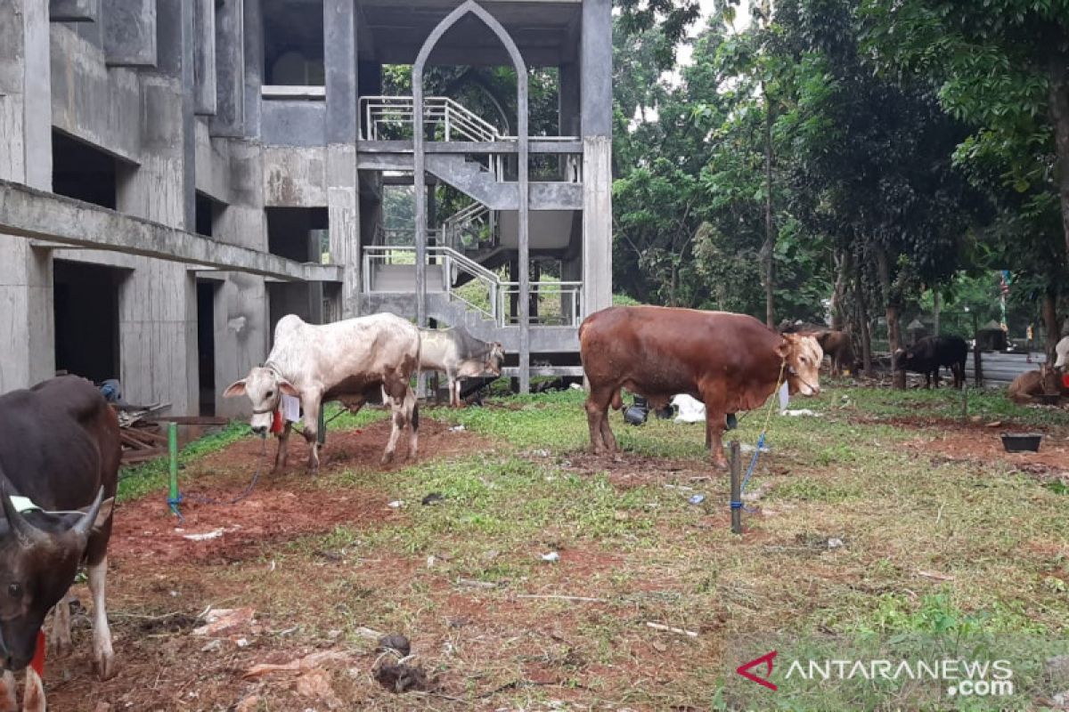 Pemkot Jakarta Selatan periksa 15.331 hewan kurban