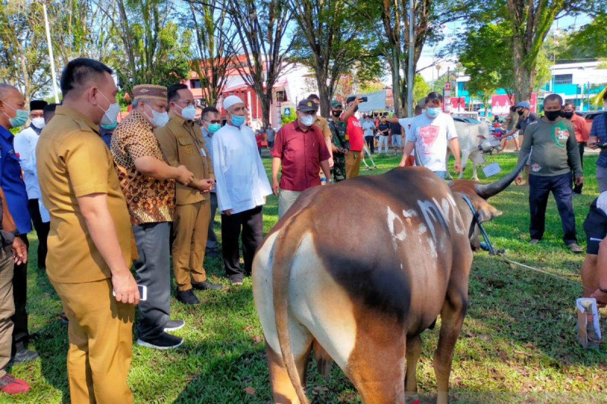 Setahun absen, Pemkot Manado serahkan 42 ekor hewan   kurban