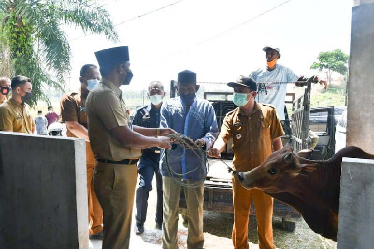 Pemkab Aceh Timur salurkan 110 hewan kurban