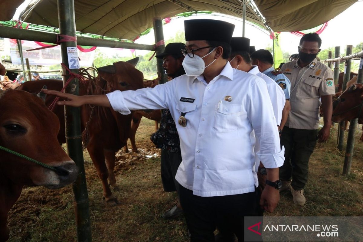 Pemkab Pamekasan minta penyembelihan hewan kurban di RPH