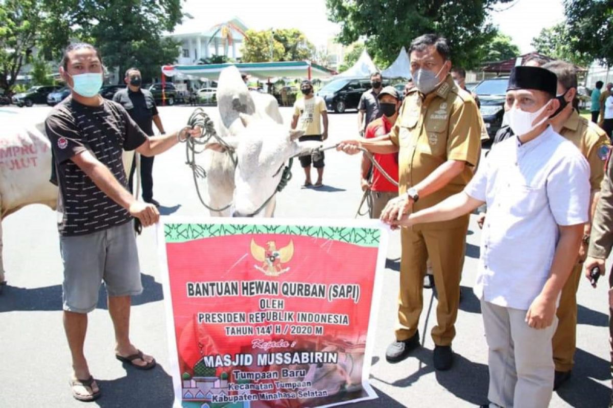 Gubernur Sulut serahkan puluhan sapi kurban kepada sejumlah masjid