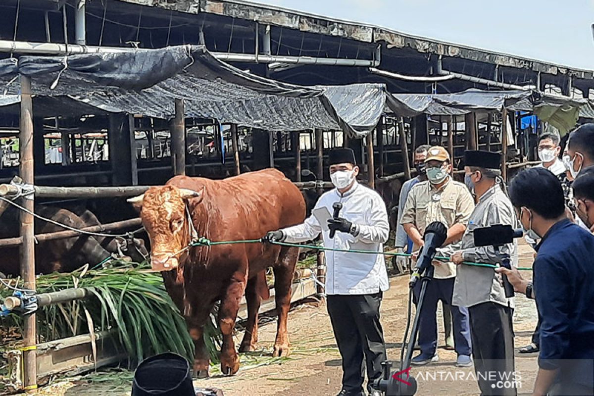 Wagub DKI imbau tempat kremasi jenazah tak cari untung saat pandemi