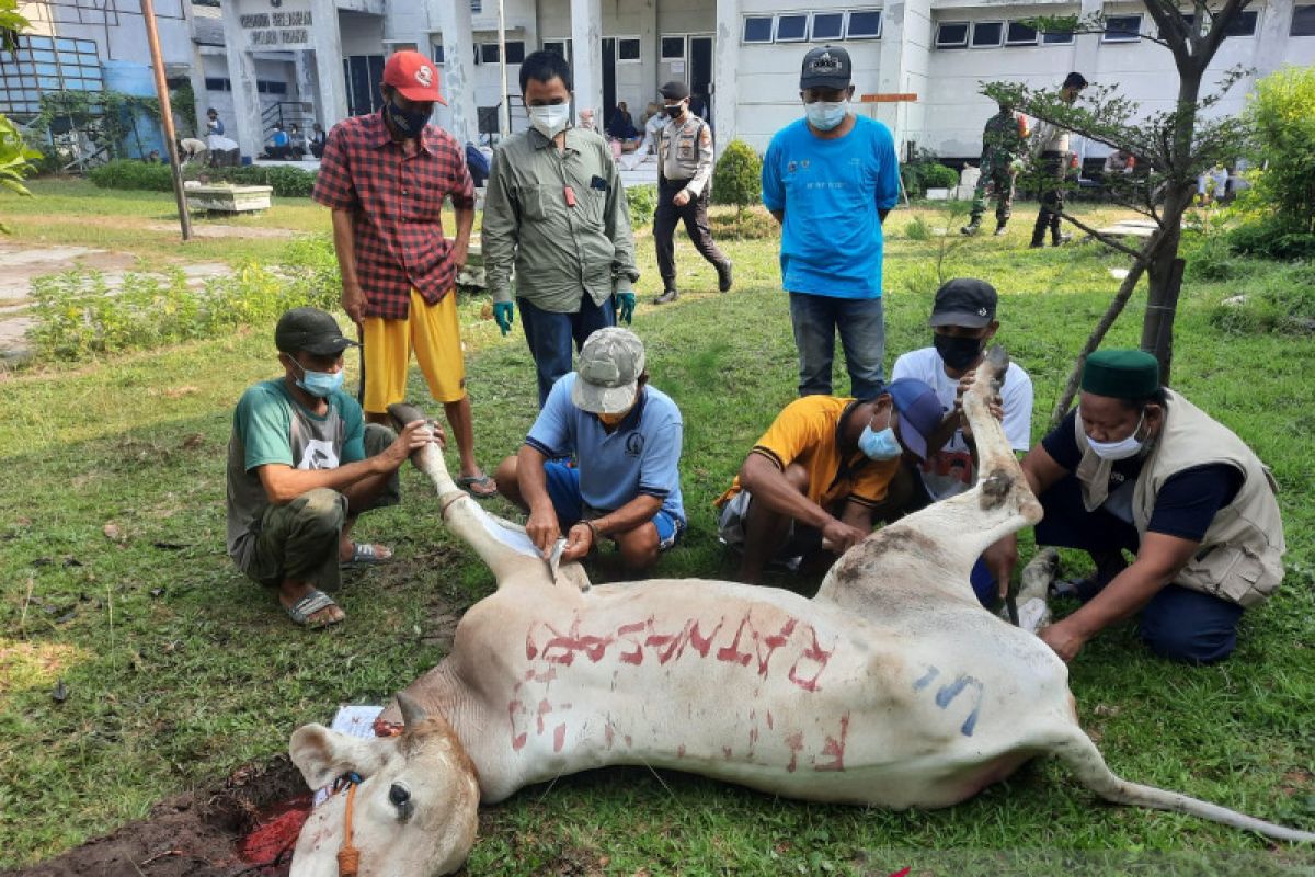Kepulauan Seribu sembelih 224 hewan kurban pada Hari Raya Idul Adha