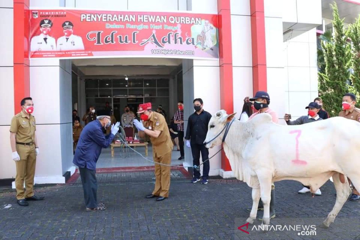 Pemerintah Kabupaten Minahasa serahkan hewan kurban di 34 masjid