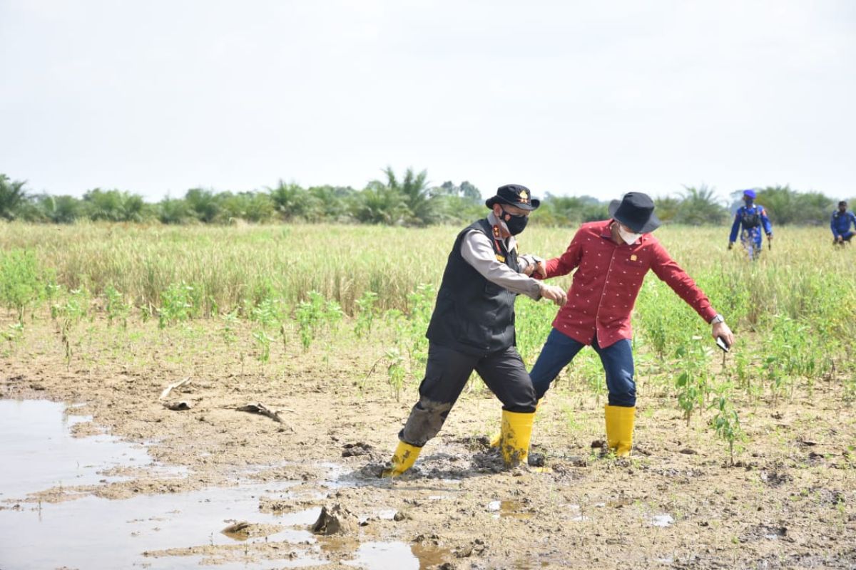 Antisipasi karhutla, Ketua DPRD dan Kapolda Jambi masuk lumpur tinjau Taman Nasional Berbak