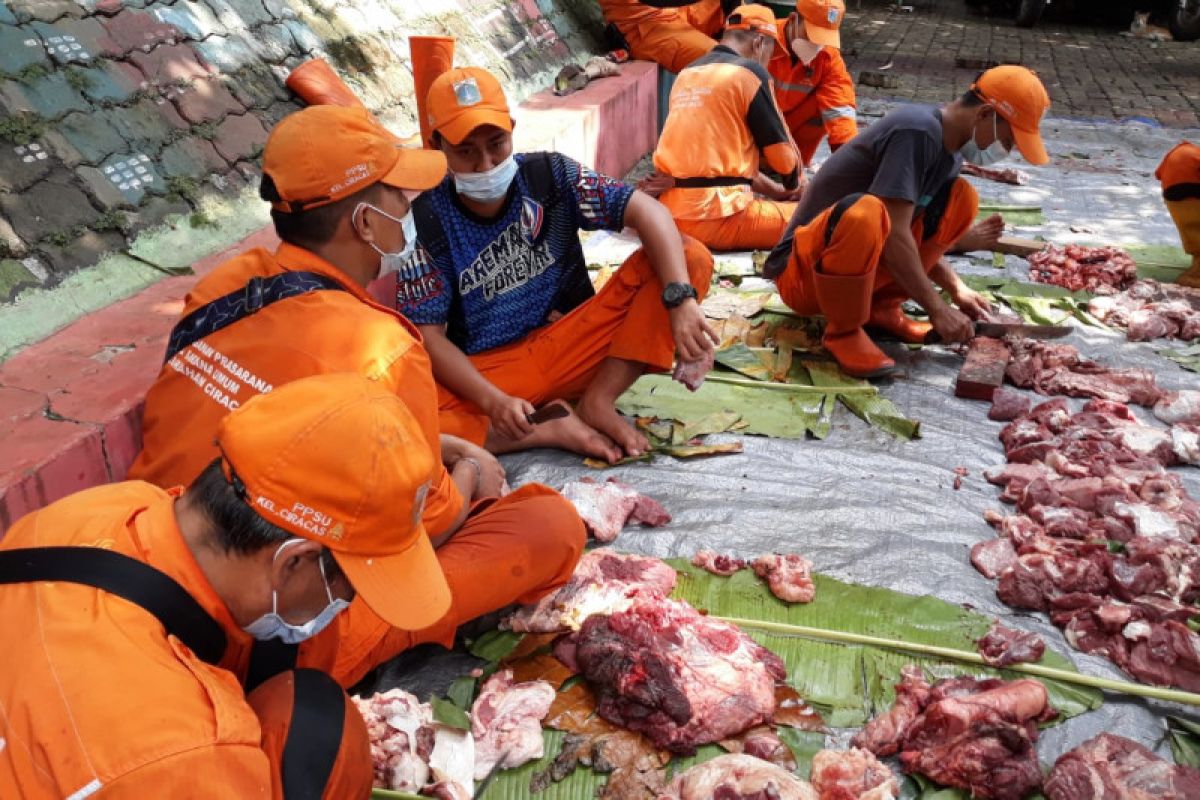 Tempat penyembelihan hewan kurban di Ciracas berkurang 20 persen