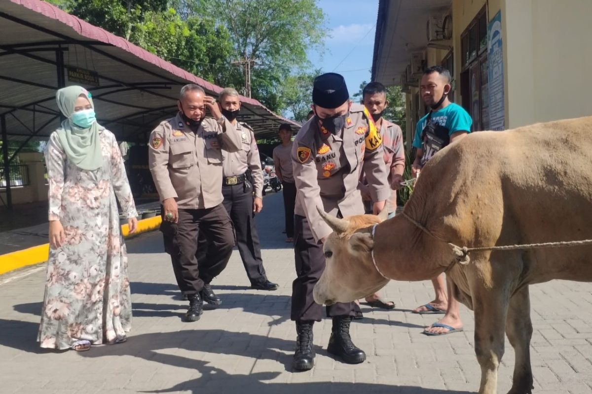 Polres Langkat sembelih hewan kurban tujuh ekor sapi dan dua ekor domba