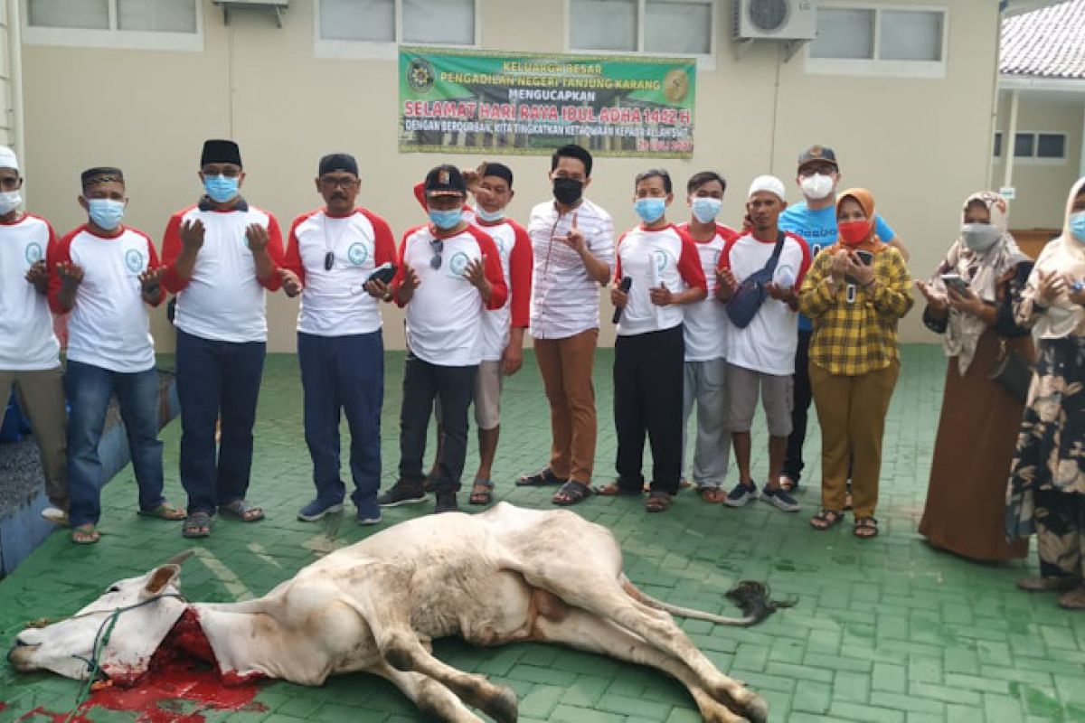 PN Tanjungkarang bagikan daging kurban kepada 400 warga dan dua panti asuhan