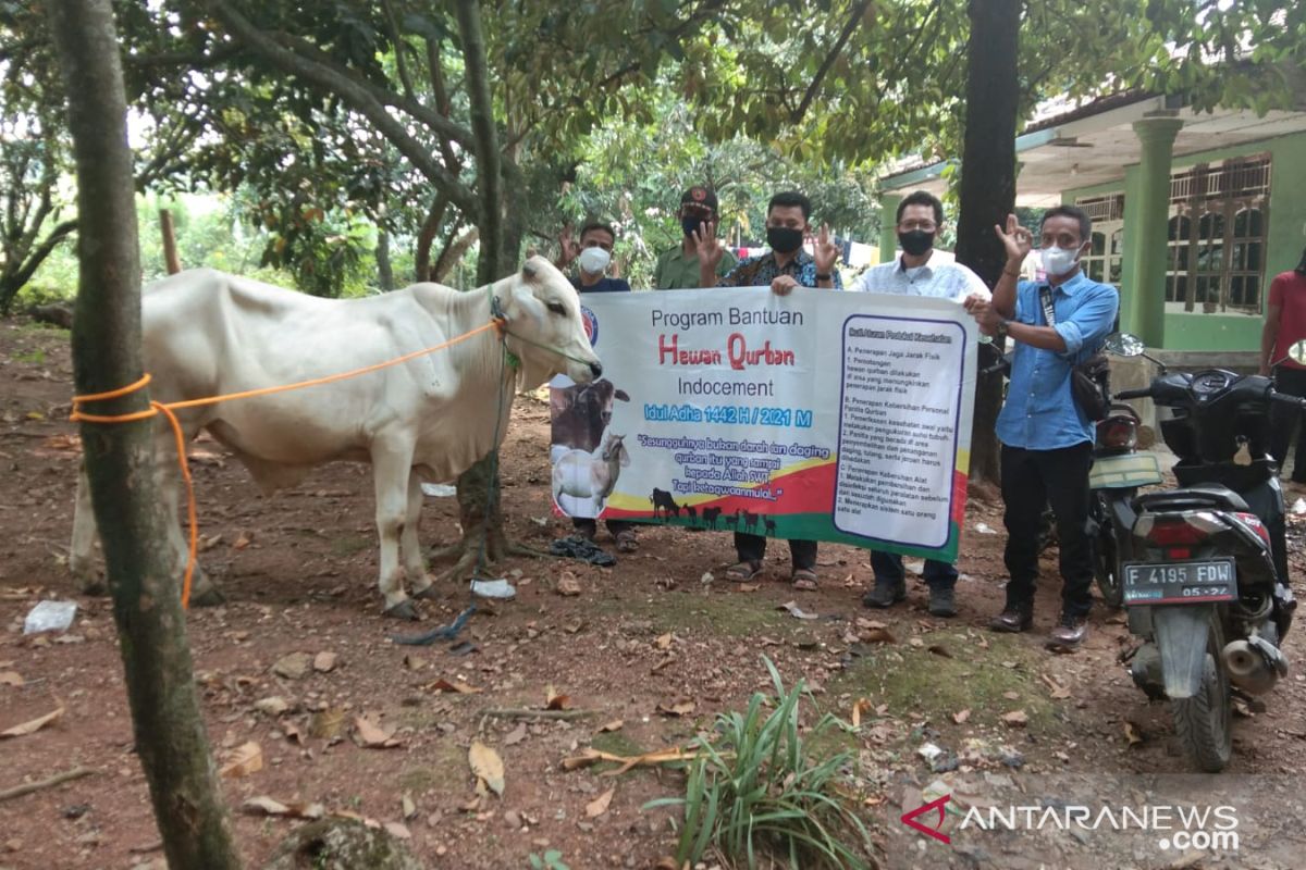 Indocement bagikan 32 hewan kurban untuk masyarakat di Bogor