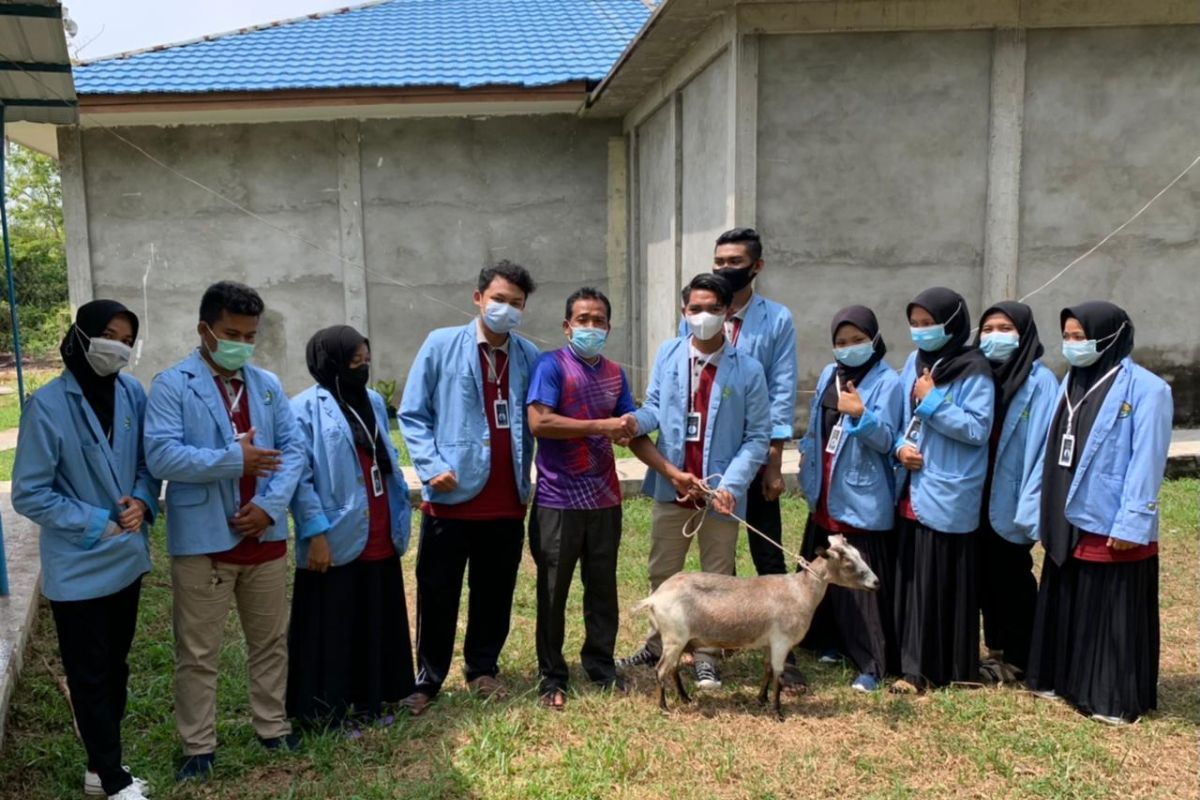 Kukerta UNRI bantu satu ekor kambing ke Masjid Al Ikram sungai Pakning