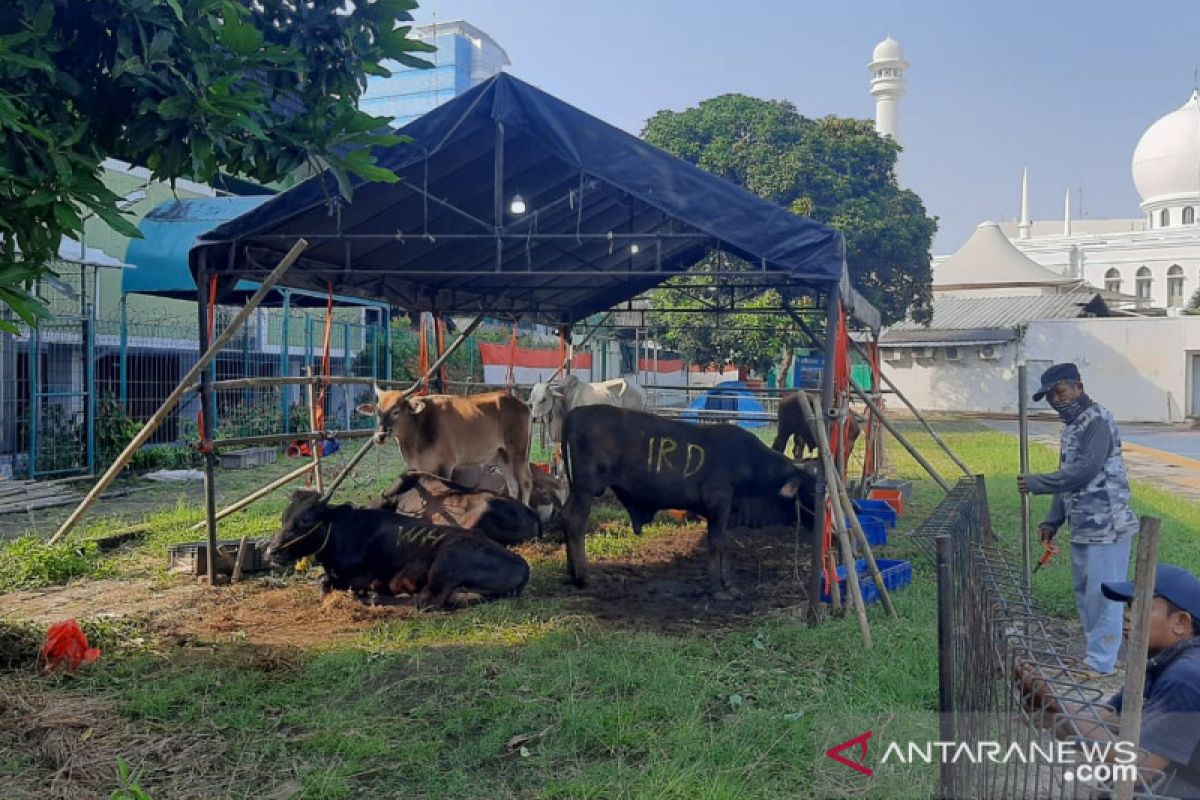 Masjid Al Azhar distribusikan daging hewan kurban ke warga Jabodetabek