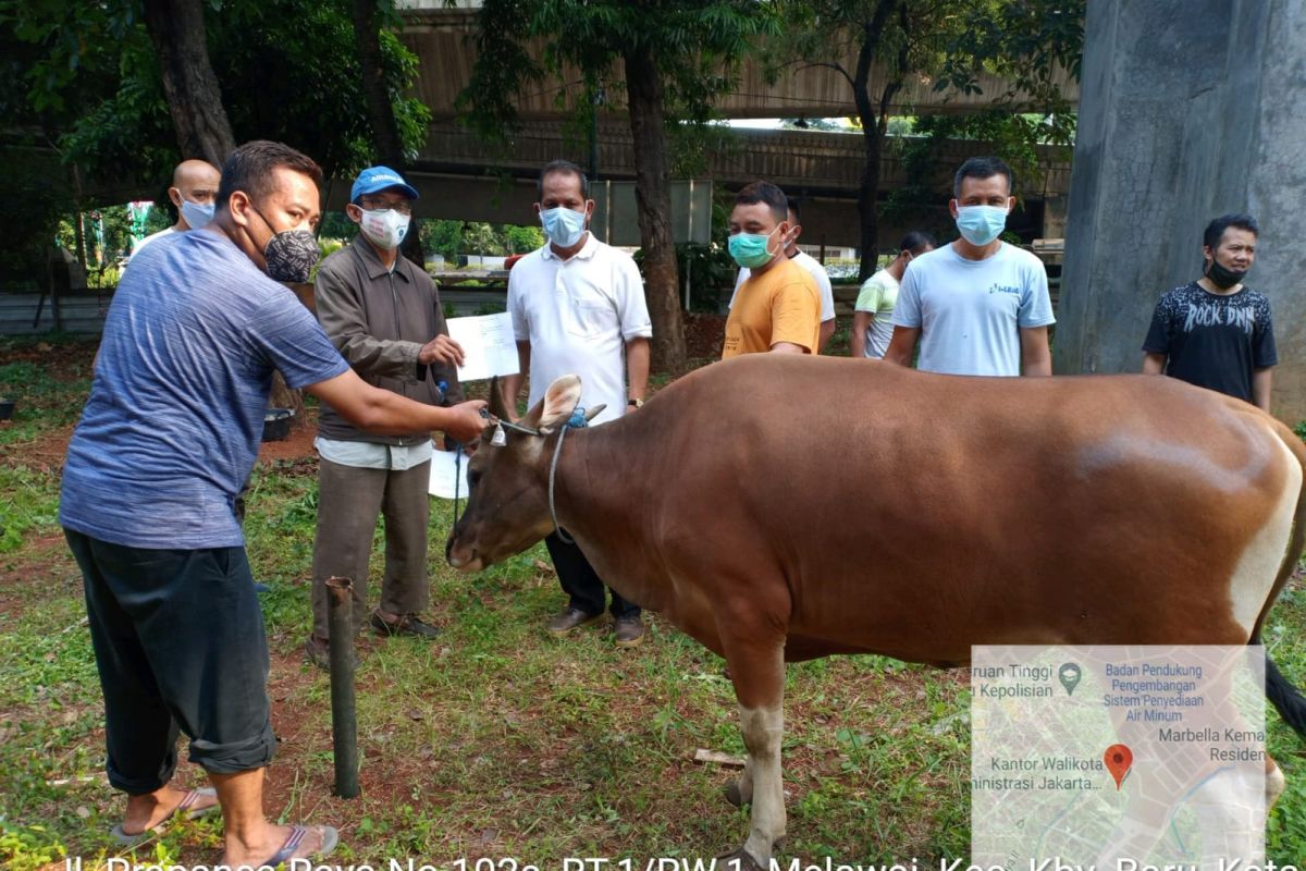 Idul Adha saat pandemi COVID-19 tak surutkan kepedulian warga DKI