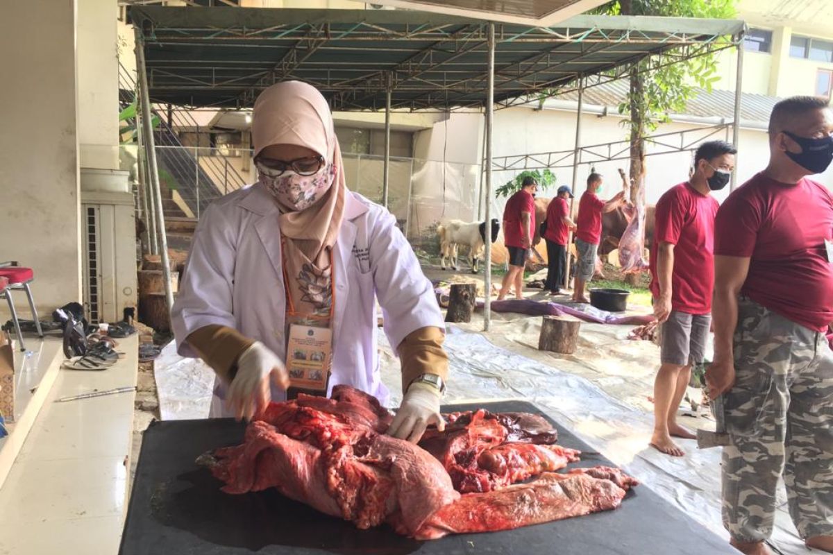 Tidak ada RPH, Sudin KPKP Jakpus imbau penyembelihan sesuai prokes