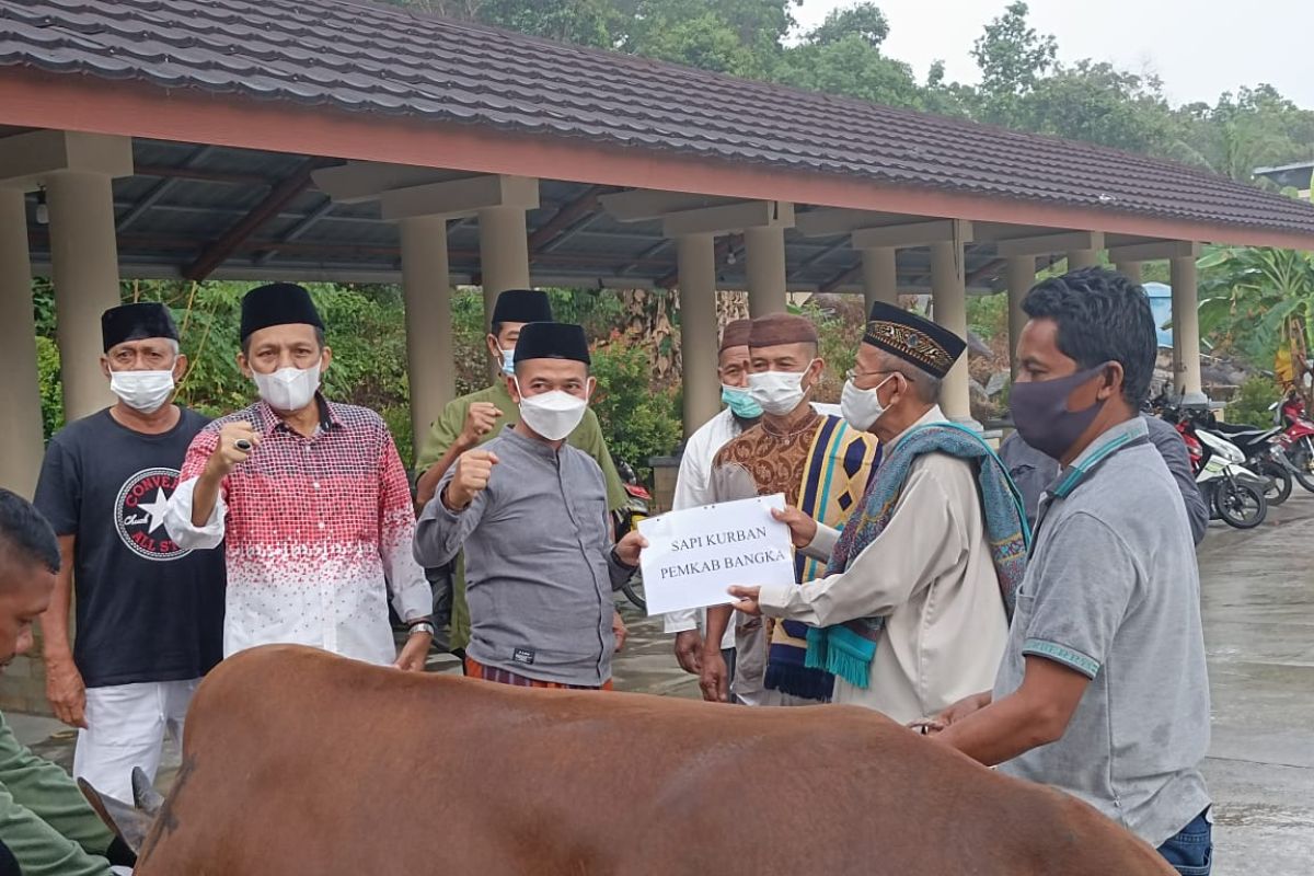 Bupati Bangka serahkan sapi ke panitia Masjid Agung