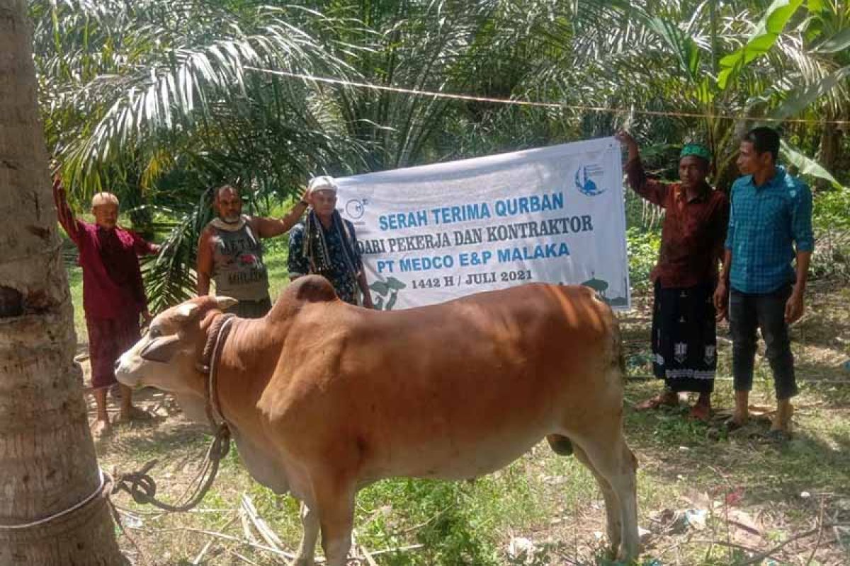 Perusahaan migas salurkan hewan kurban untuk masyarakat Aceh Timur