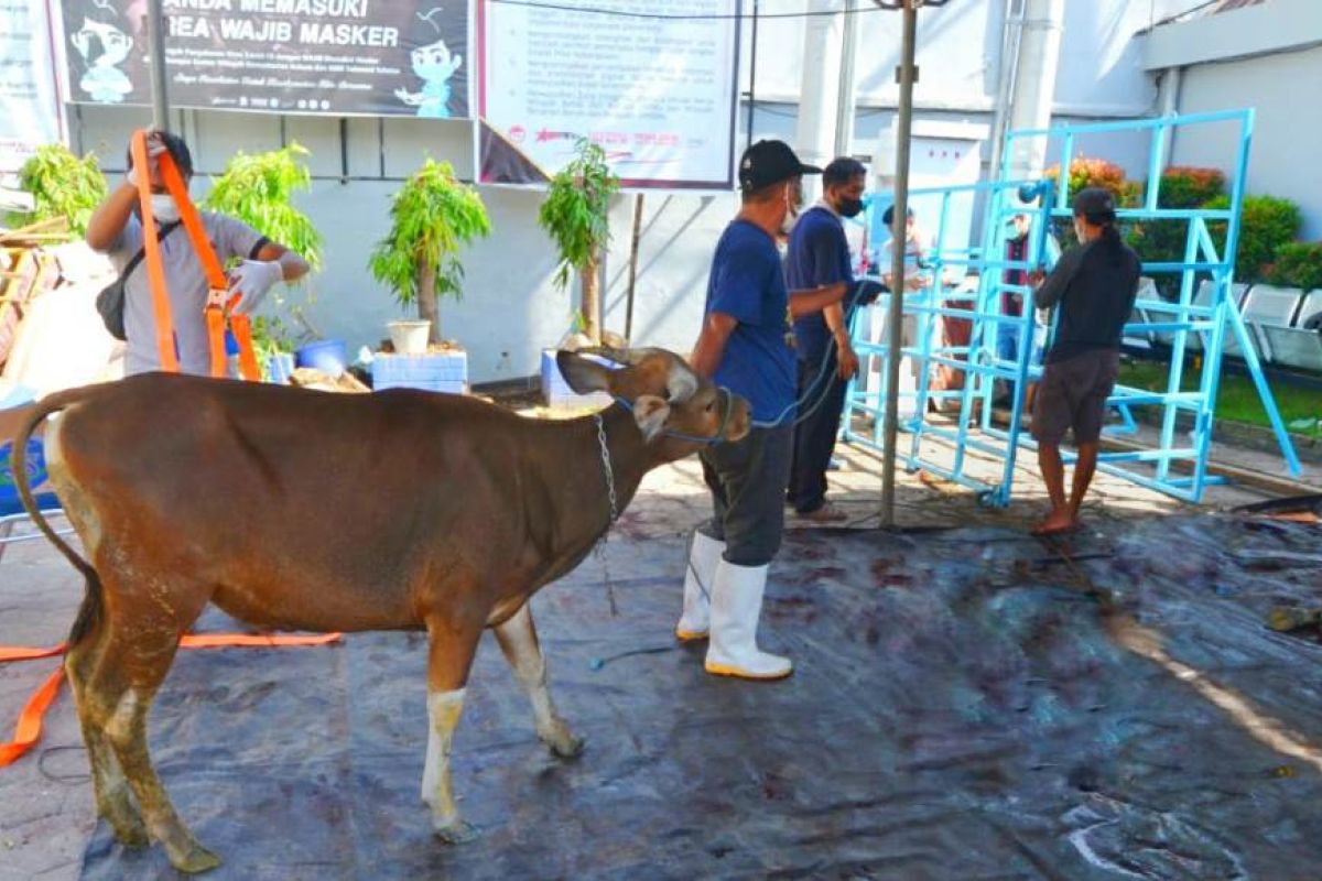 Pegawai Kanwil Kemenkumham Sulsel mengurbankan 10 ekor sapi