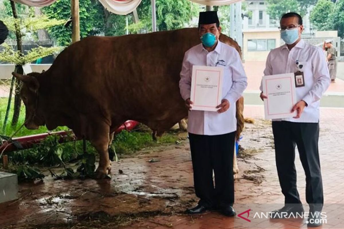 Presiden serahkan hewan kurban di Masjid Istiqlal