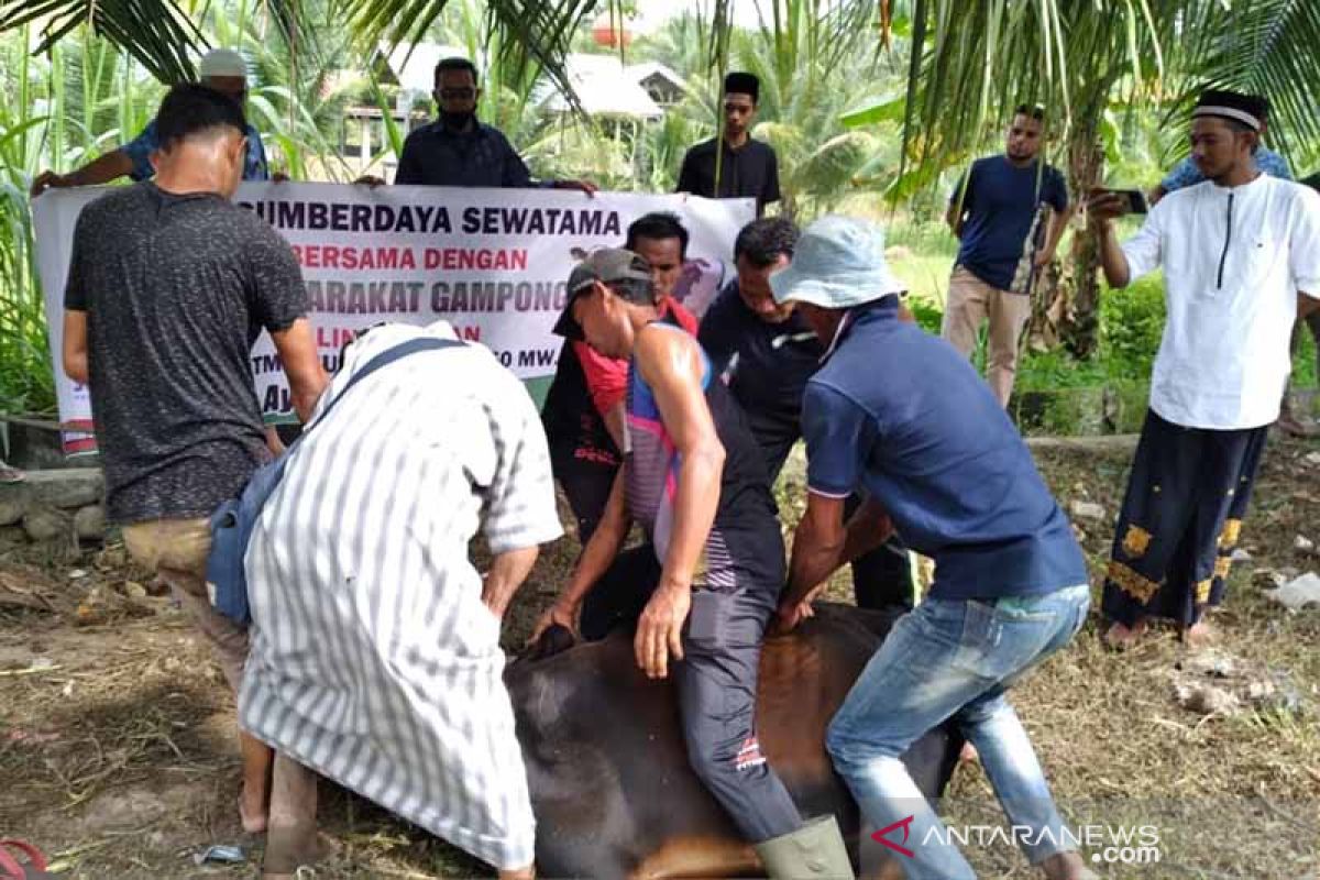 Perusahaan di Lhokseumawe ini bagi ratusan paket daging korban