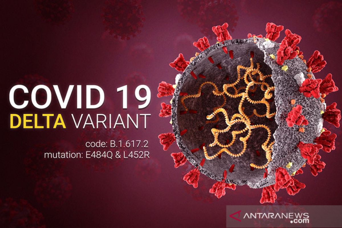 Varian Delta penyebab lebih dari 80 persen kasus COVID di AS