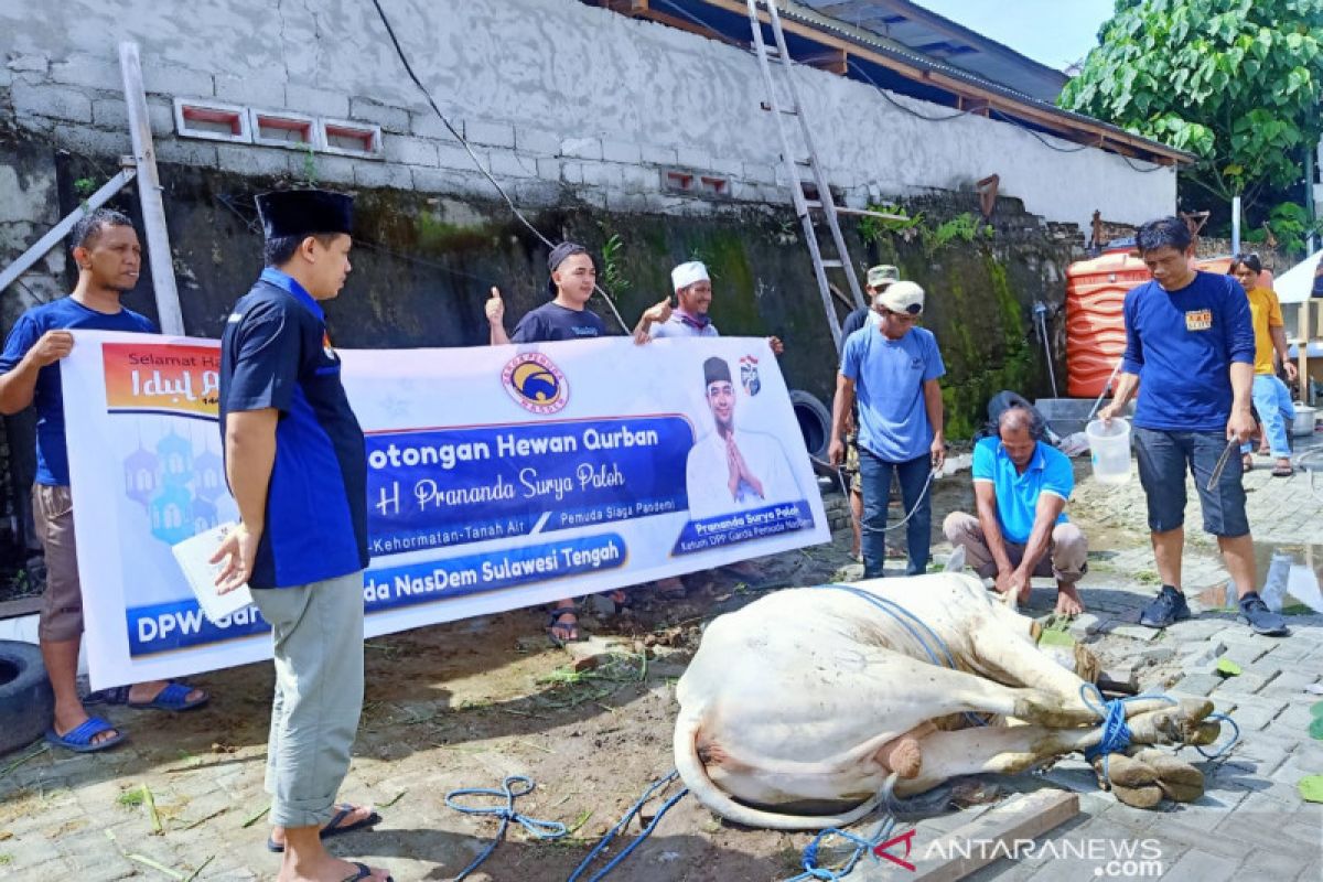 NasDem Sulteng bagikan daging kurban ke pemulung-panti asuhan