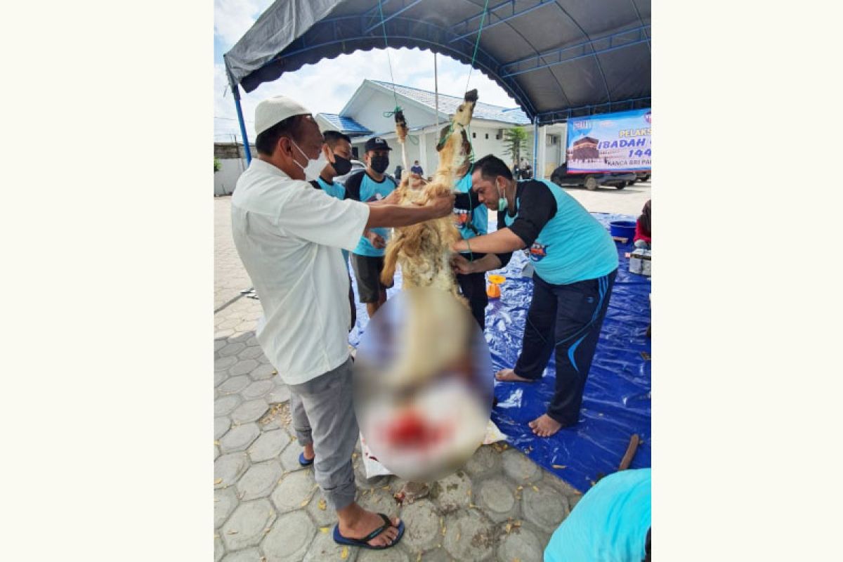 BRI Cabang Palangka Raya bagikan daging kurban 'door to door'