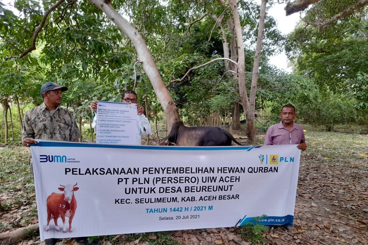 PLN UIW Aceh potong 57 ekor hewan kurban