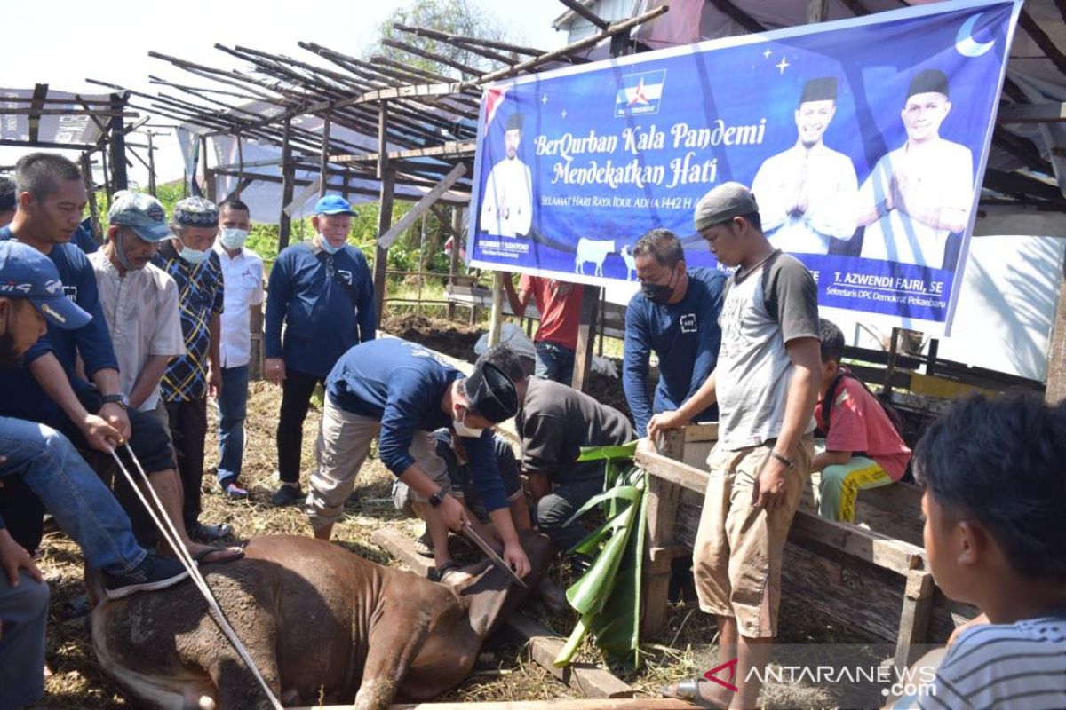 Demokrat Pekanbaru sembelih lima sapi