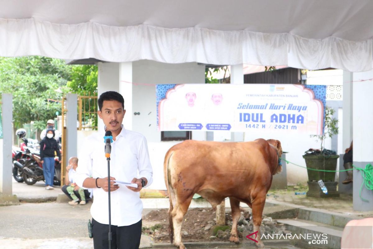 Pemkab Banjar lakukan pemotongan delapan ekor sapi kurban