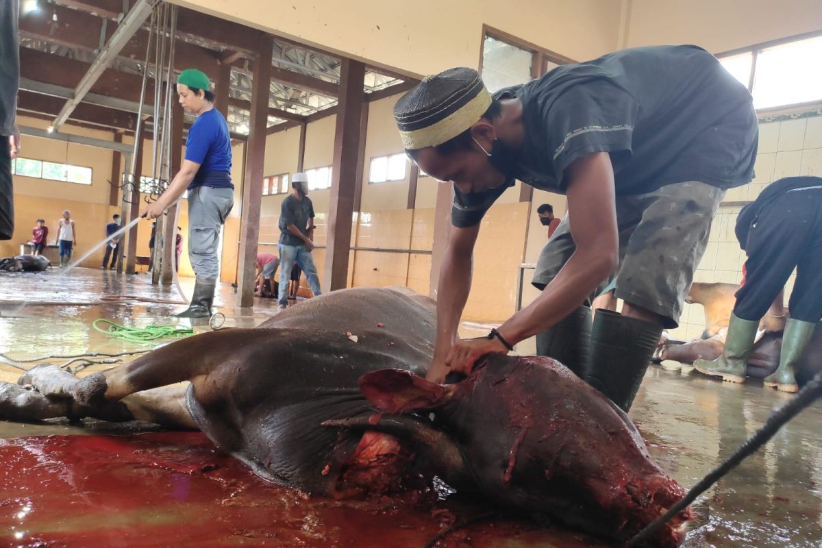 Pemotongan hewan kurban di RPH Paser penuhi protokol kesehatan