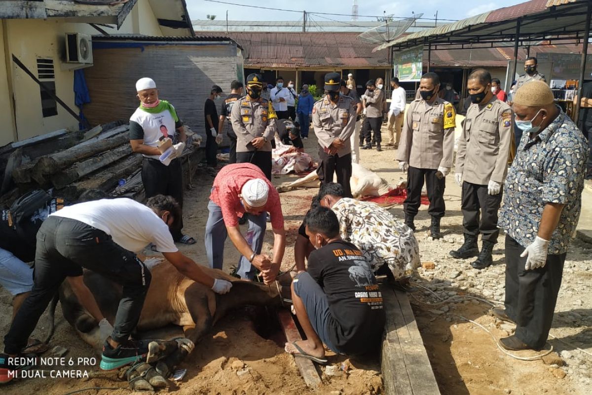 Kapolres Sibolga pimpin penyembelihan hewan qurban, sekaligus imbau prokes