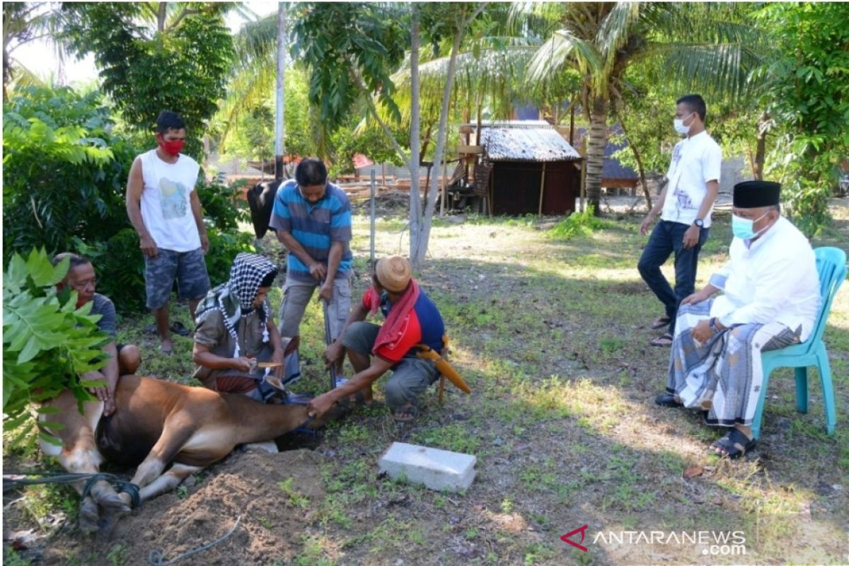 Pemprov Gorontalo salurkan hewan kurban dari ASN