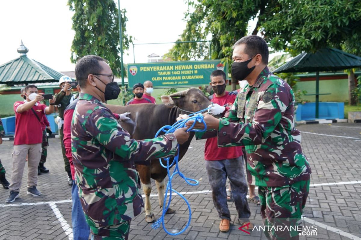 Kodam IX/Udayana bagikan 1.620 Kantong Daging Kurban