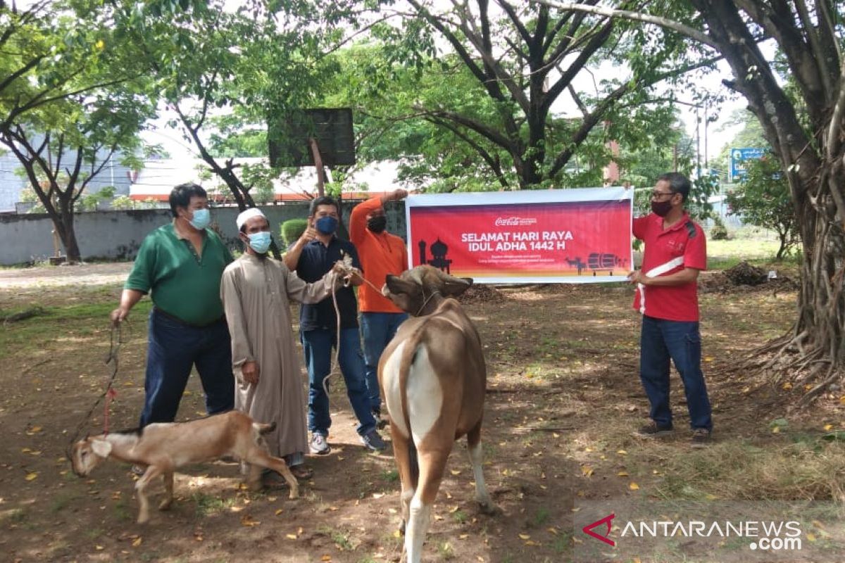 CCEP Indonesia donasikan 51 hewan kurban di Jawa-Bali