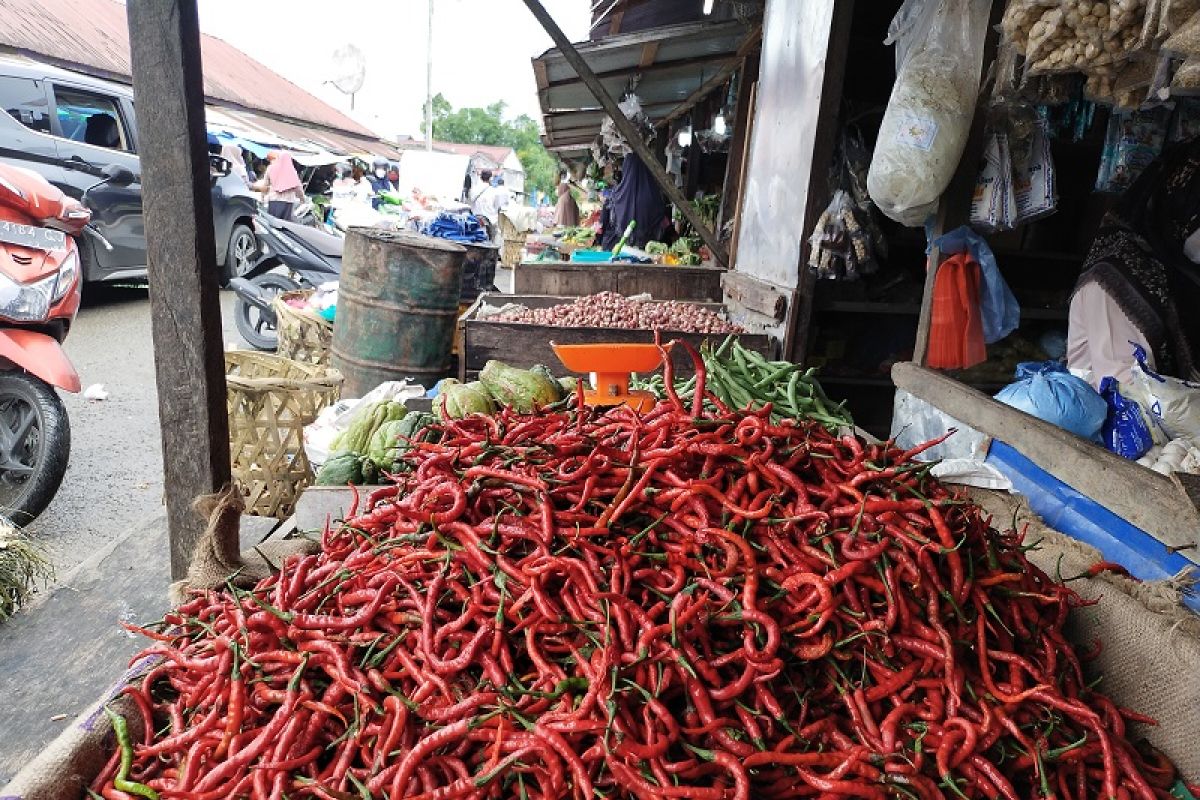 Harga cabai di Simeulue naik seratus persen