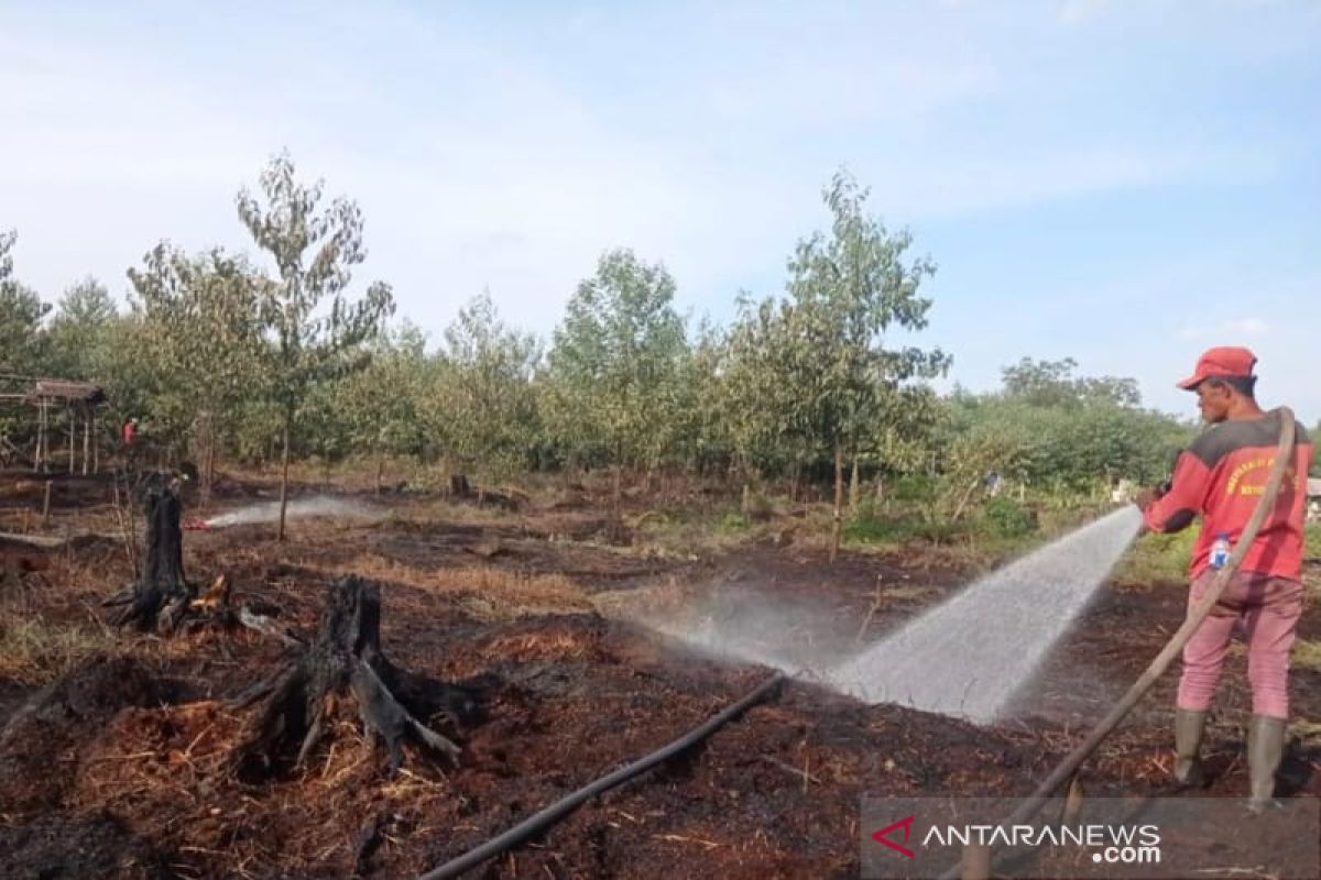 Kobaran api di hutan lindung Giam Siak Kecil  berhasil dipadamkan