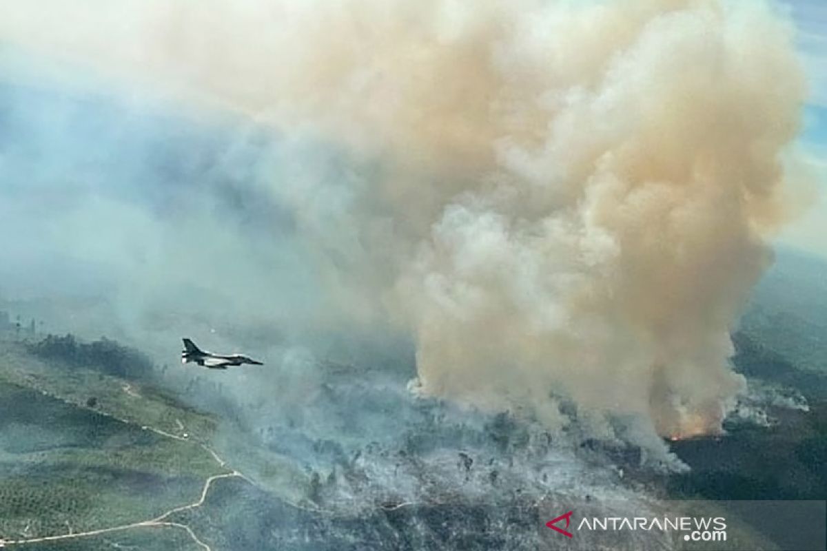 Mengerikan, penampakan luasnya kebakaran hutan dan lahan terlihat dari jet tempur F-16