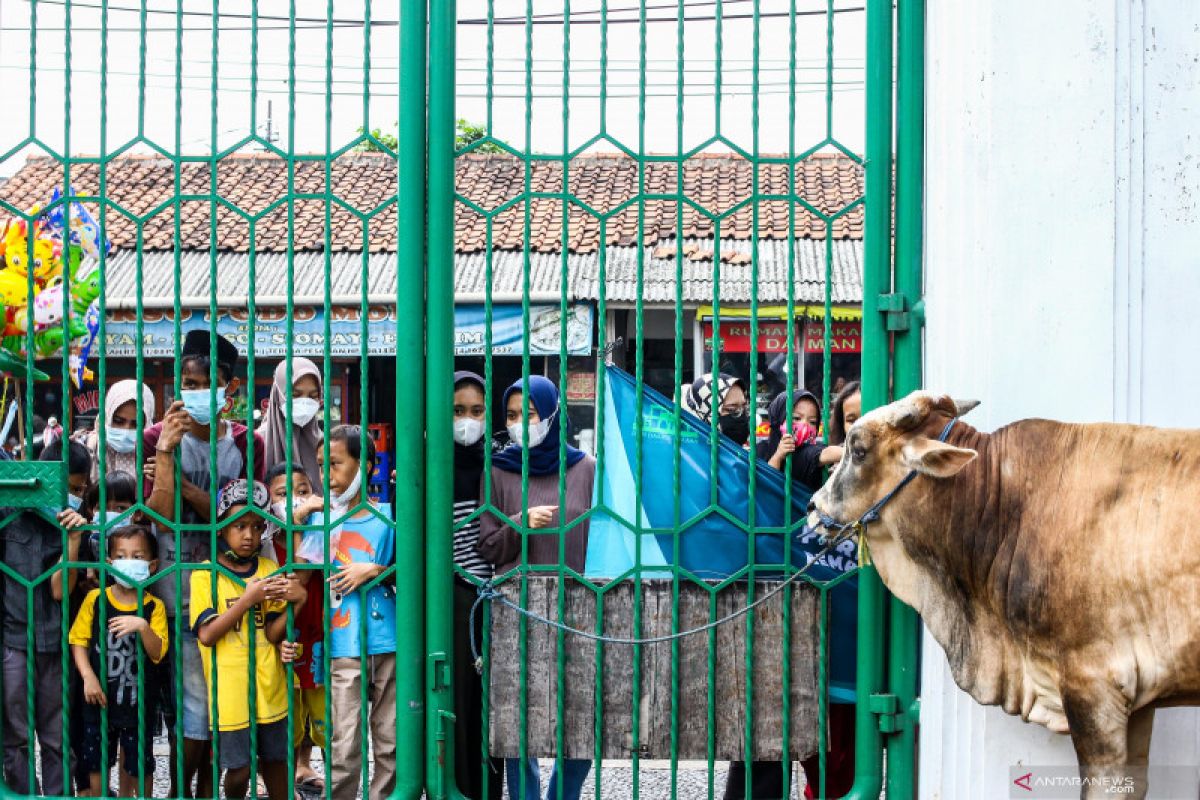 Kemenparekraf - Gabungan Industri Pariwisata salurkan hewan kurban