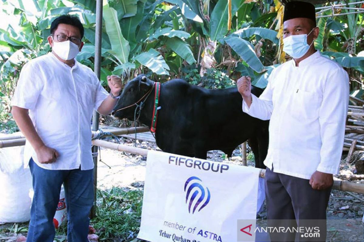 FIFGroup bagikan hewan kurban 371 ekor kambing dan 3 ekor sapi pada Idul Adha