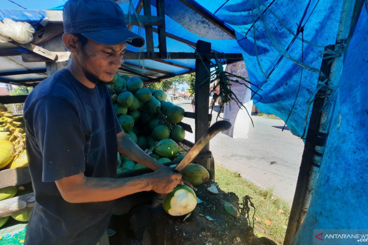 Kelapa muda diyakini warga Pariaman bisa kurangi effek vaksin COVID-19, pedagang kebanjiran pesanan