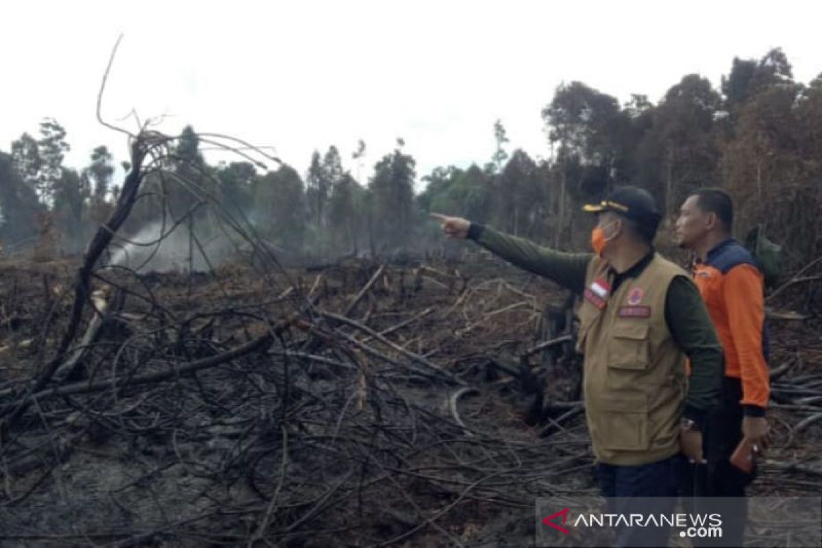 Polisi tetapkan tiga tersangka kebakaran Hutan Lindung Bukit Suligi Riau