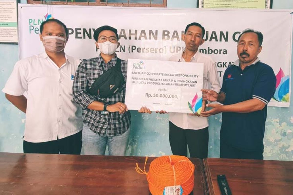 PLN membantu pengembangan budi daya rumput laut di Sumbawa Barat