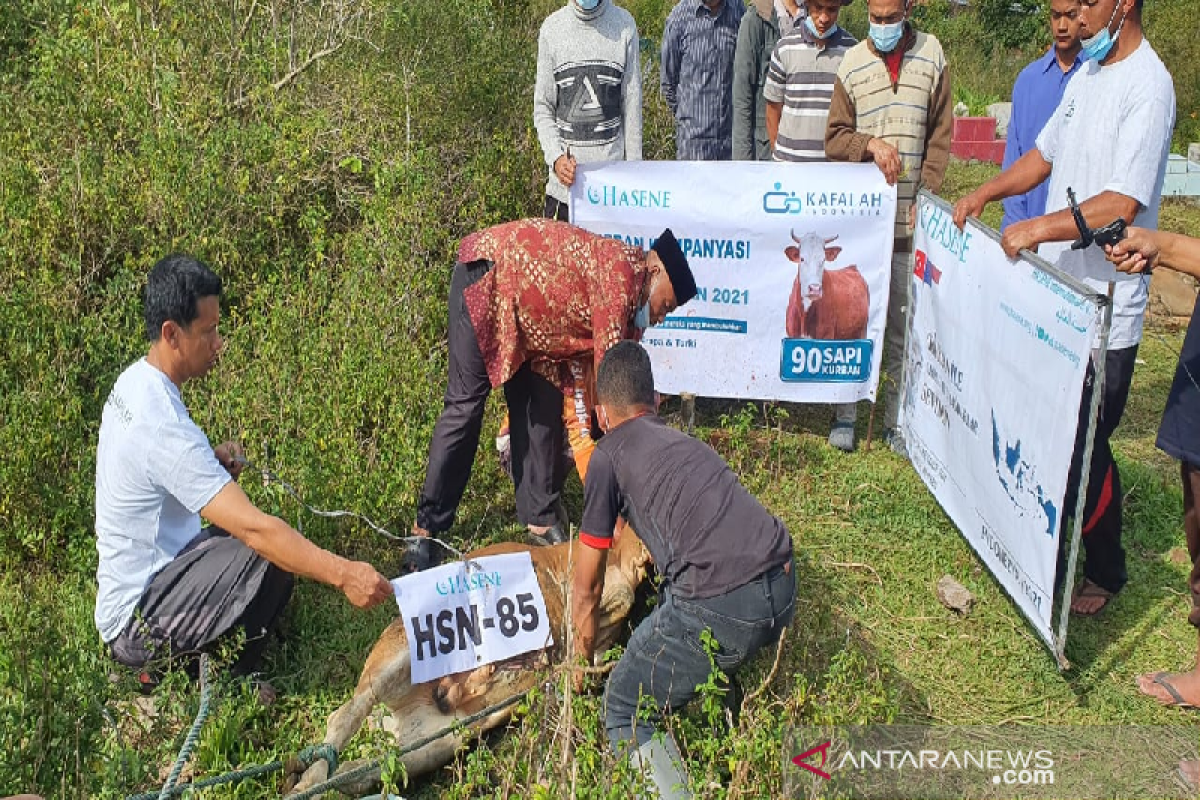 Muslim Eropa-Turki sumbang hewan kurban untuk dhuafa-yatim Aceh