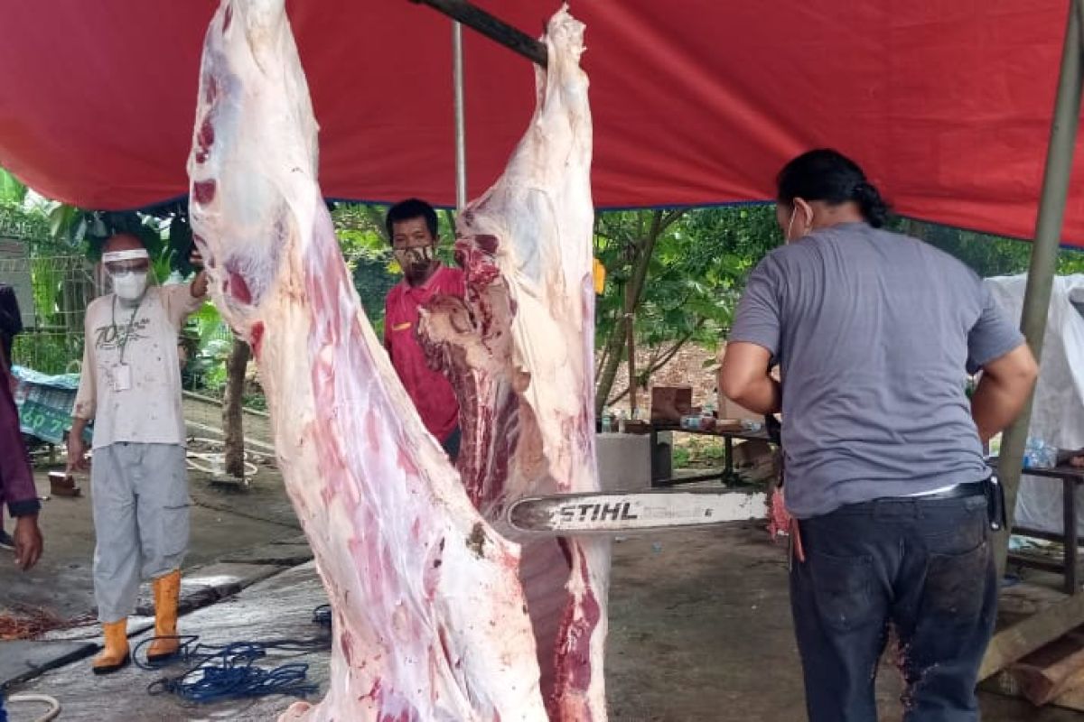 Potong 67 sapi dan 60 kambing, DKM Al Aqsha BSD siapkan kulkas kontainer