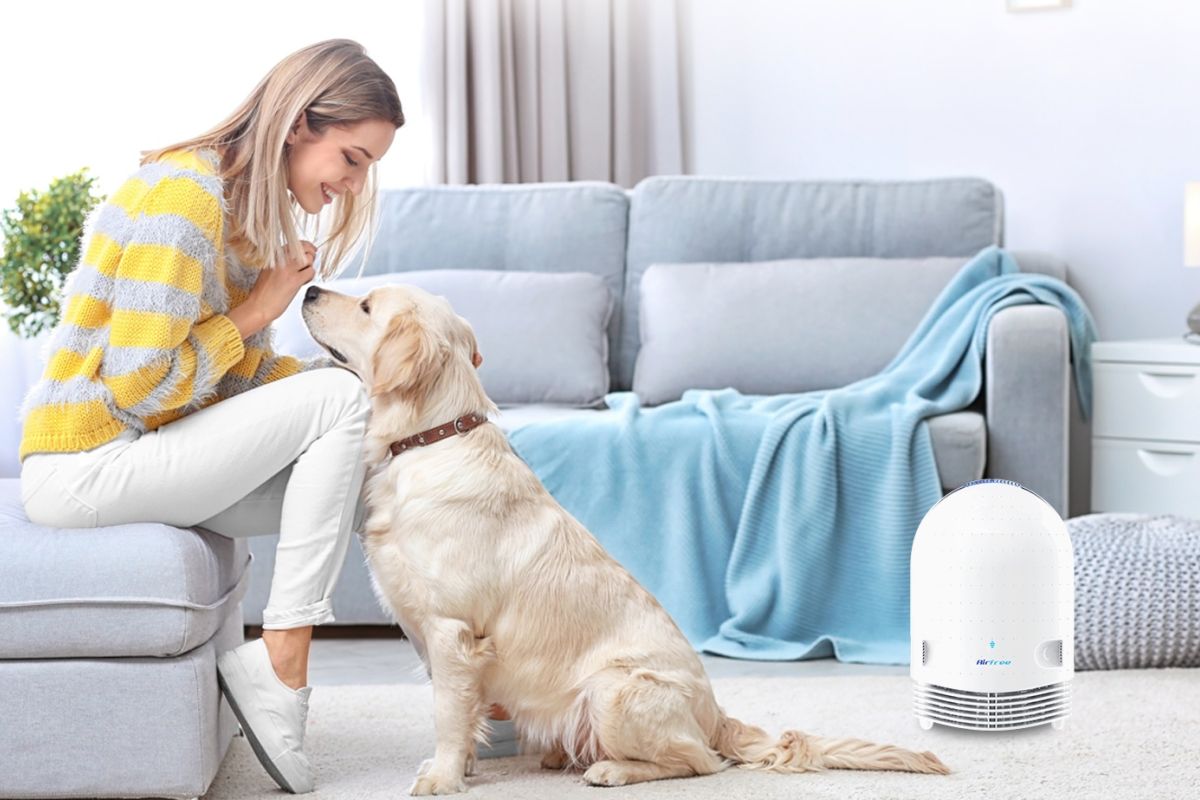 Penting menjaga kebersihan udara meski di rumah saja