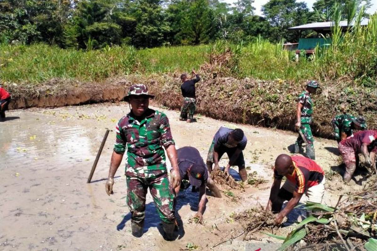 Kompak, Satgas TNI bersama warga Papua di perbatasan budidaya ikan nila